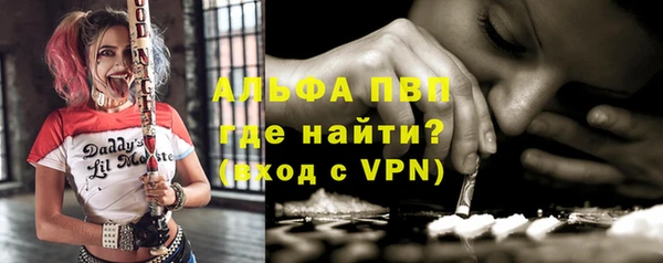 шишки Мегион