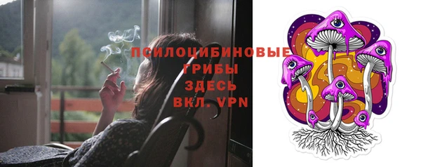 шишки Мегион