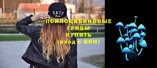 сатива Протвино