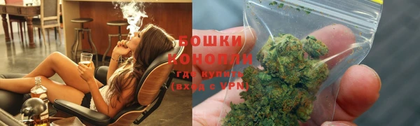 ГАЛЛЮЦИНОГЕННЫЕ ГРИБЫ Медногорск
