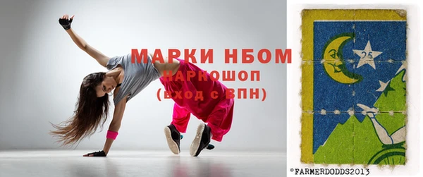 шишки Мегион