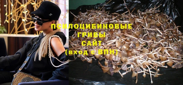 твердый Медвежьегорск