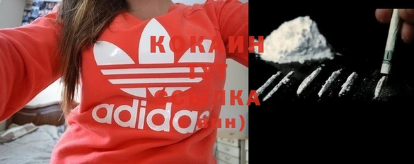 шишки Мегион