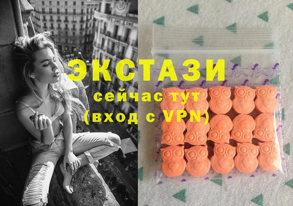 стафф Осташков