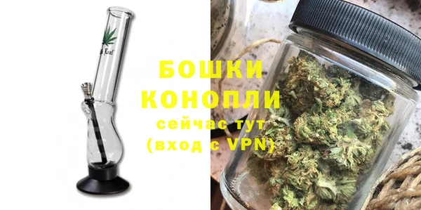 шишки Мегион