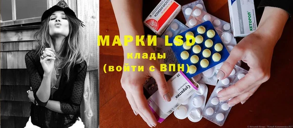 шишки Мегион
