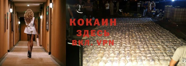 шишки Мегион