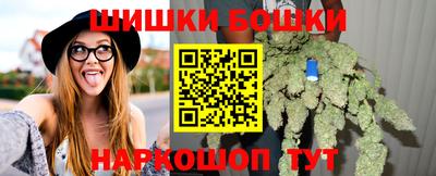 спайс Гай