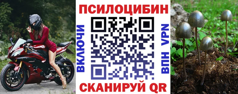 наркота  Петрозаводск  Галлюциногенные грибы Magic Shrooms 