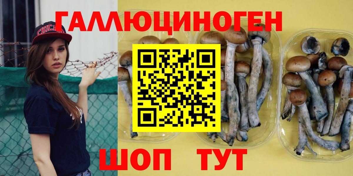 Псилоцибиновые грибы ЛСД  Галлюциногенные грибы мухоморы  купить наркоту  Петрозаводск  Вход с VPN 