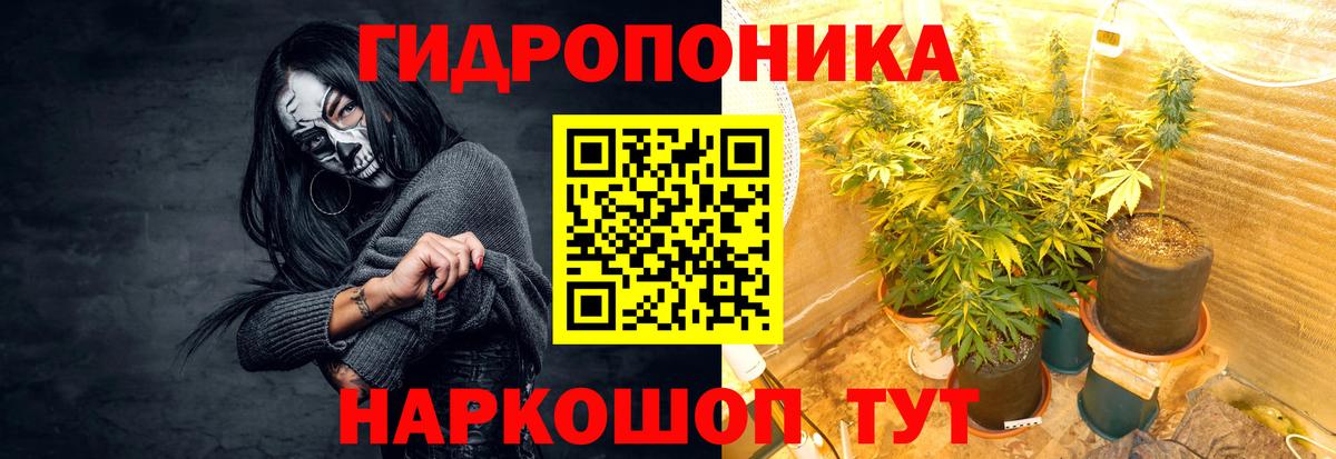 Канабис марихуана Петрозаводск